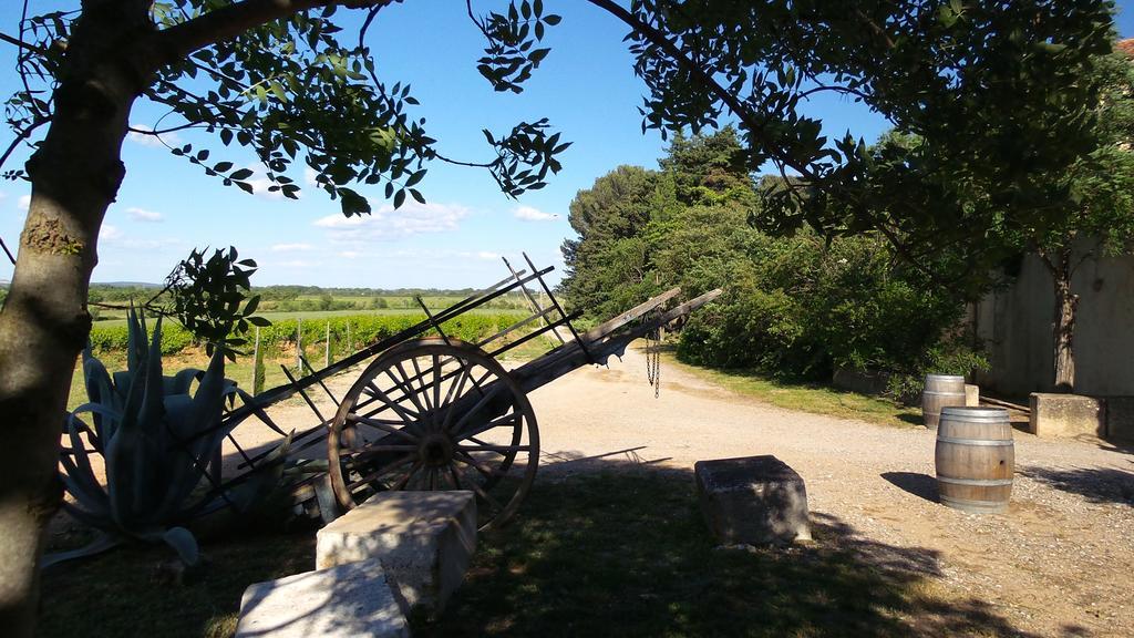 Chateau Le Vergel Authenac Ginestas Δωμάτιο φωτογραφία
